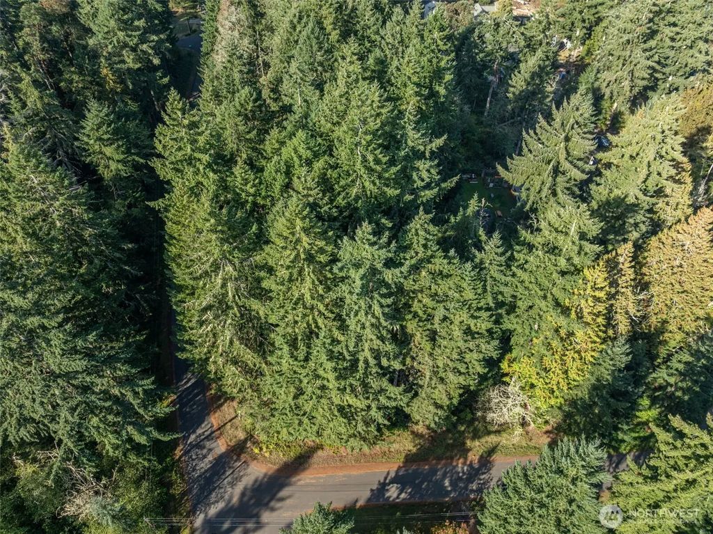 10102 104th Avenue, Anderson Island