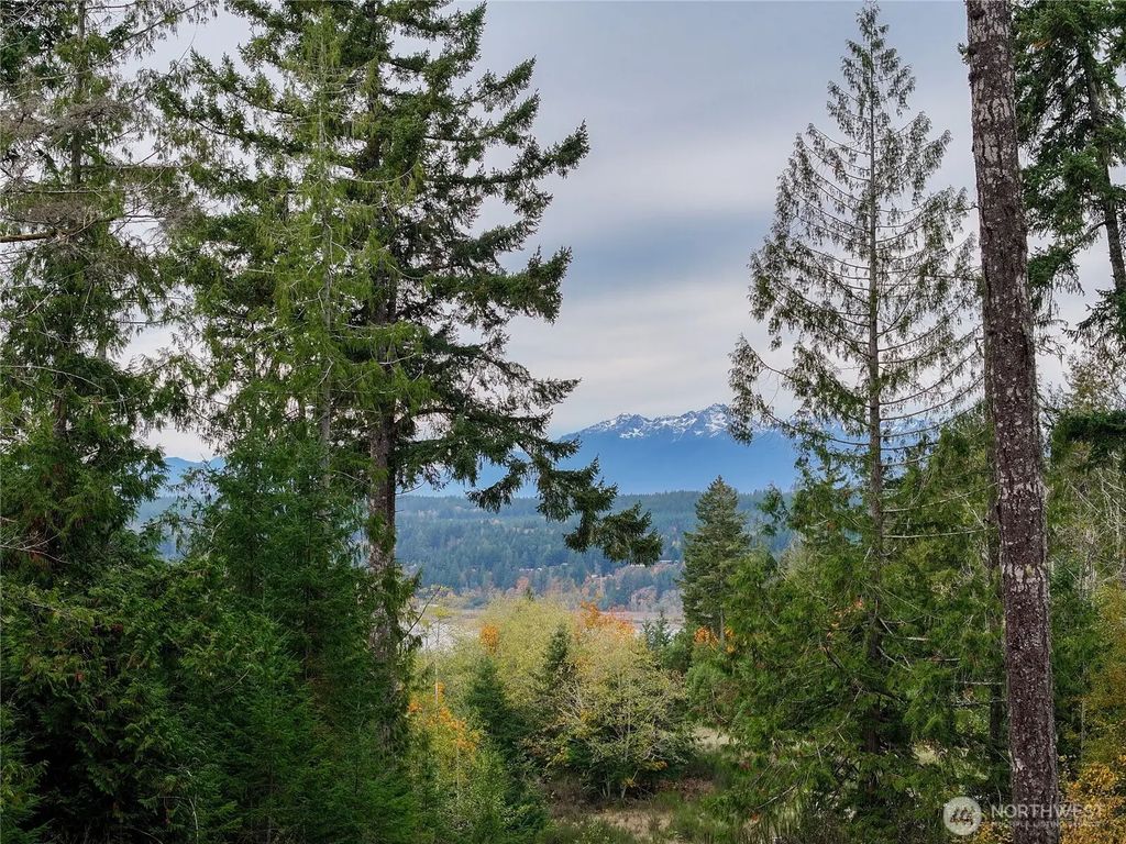 541 Ne Squire Lane, Belfair