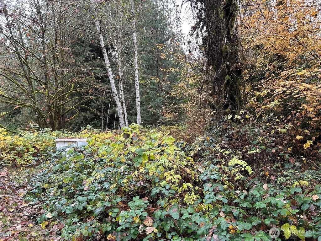 54165 Steelhead Landing Road, Concrete