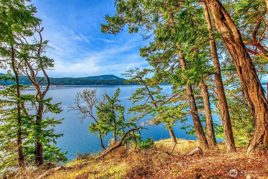 599 Shore Drive, Orcas Island