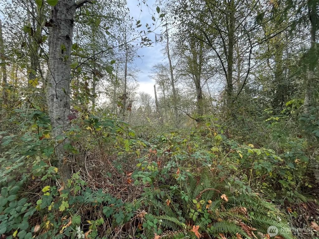 10312 Sw 156th Street, Vashon