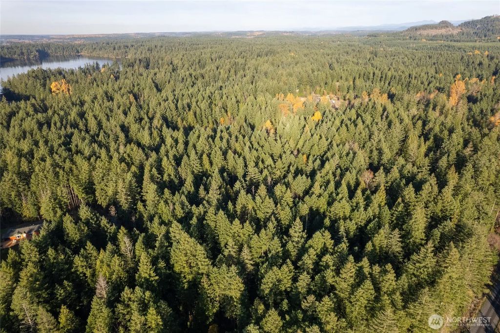 Bald Hills Road, Yelm