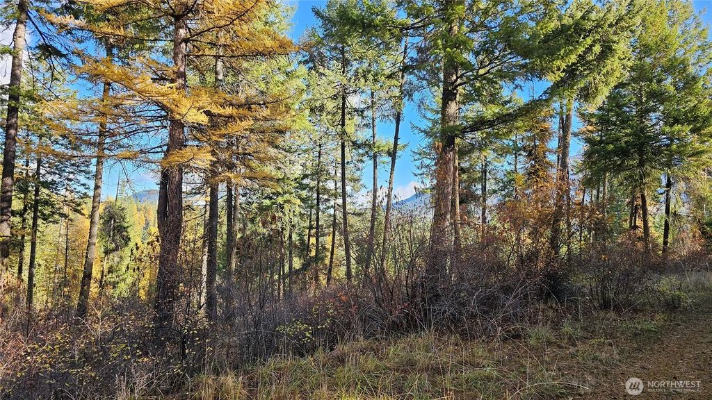 700 L Dry Gulch Road, Colville