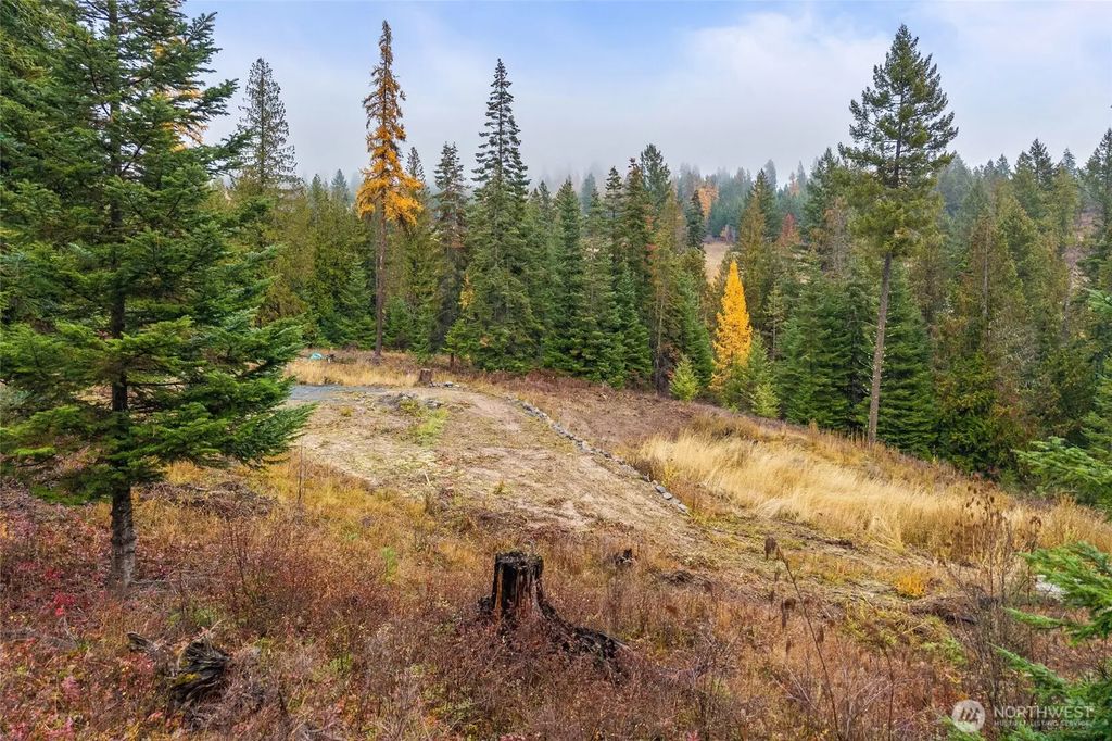 717 B Finley Gulch Road, Colville