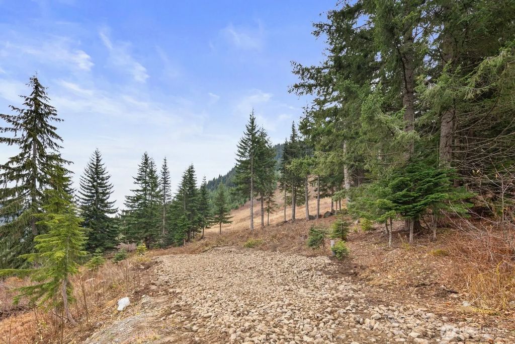 321 Innsbruck Drive, Snoqualmie Pass