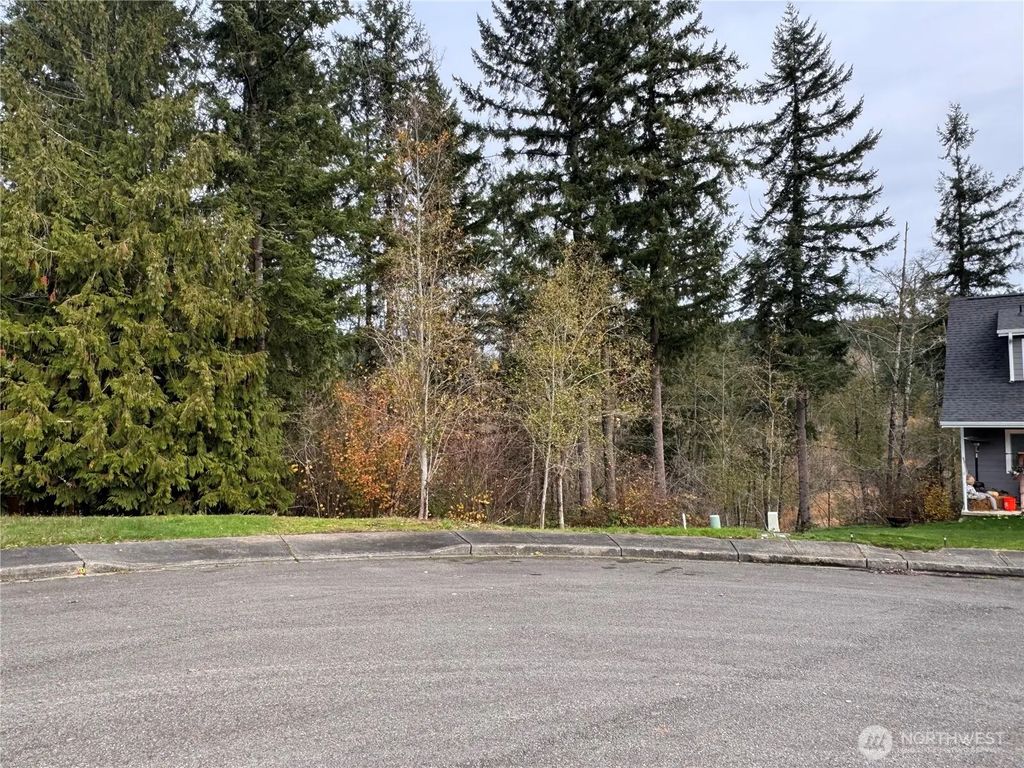 1618 Maple Valley Drive, Centralia