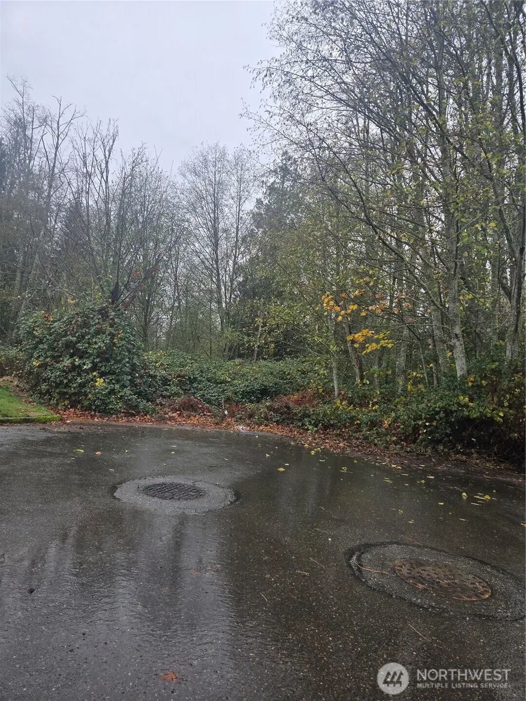 4 Se Sinclair View Drive, Port Orchard