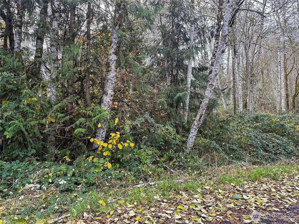 7605 Lakeside Street Sw, Olympia
