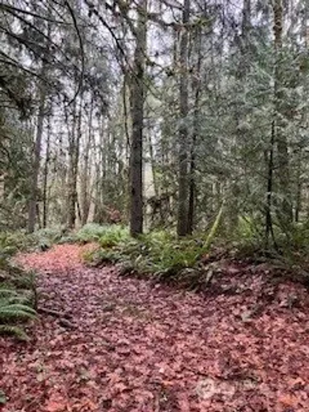 Glenwood Road Sw, Port Orchard