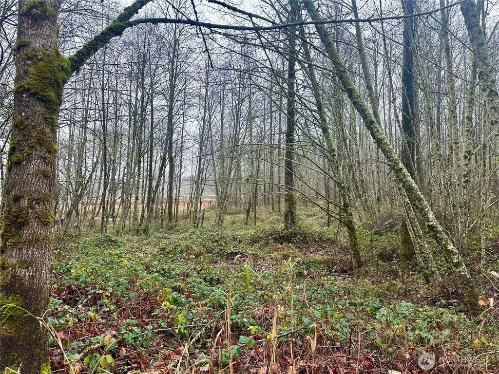 1230 Silverbrook Road, White Pass
