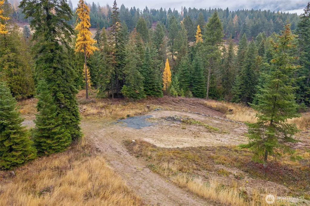 717 C Finley Gulch Rd., Colville