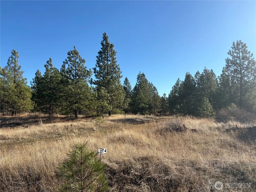 35410 Prairie Lane N Lot 4, Creston