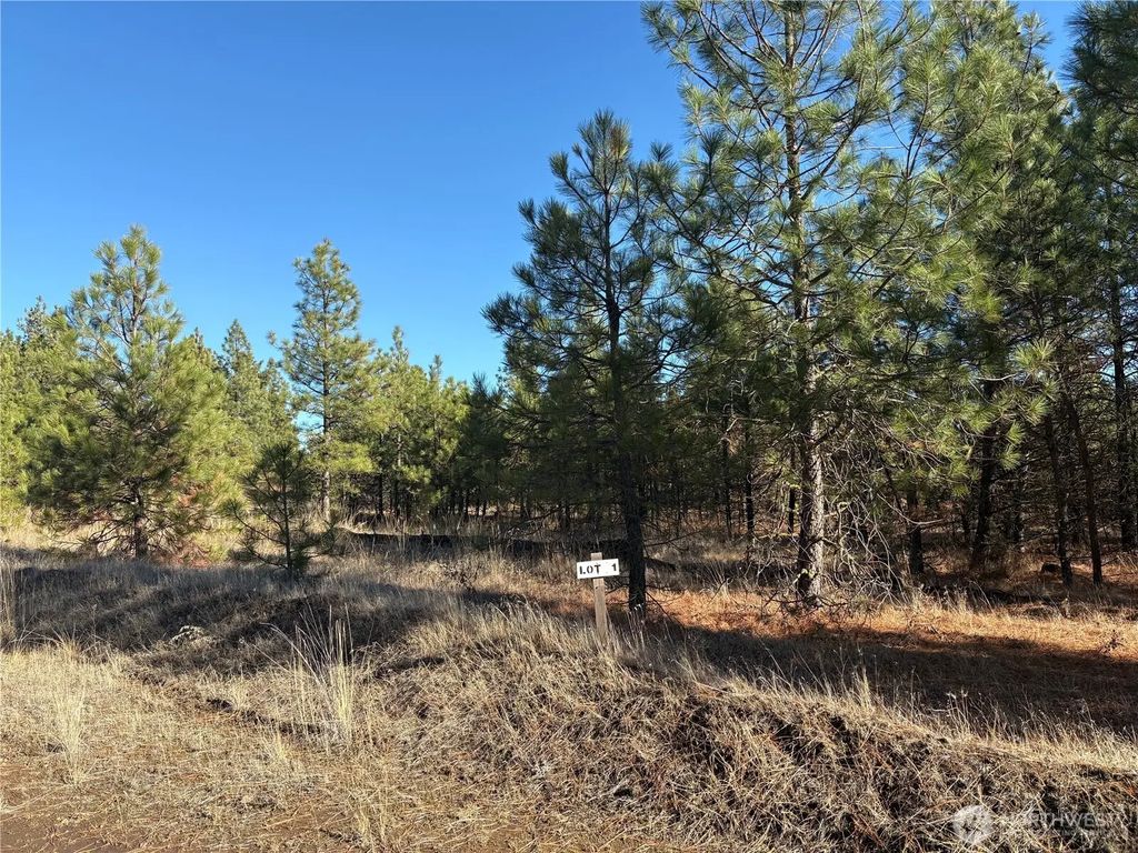 35470 Prairie Lane N Lot 1, Creston