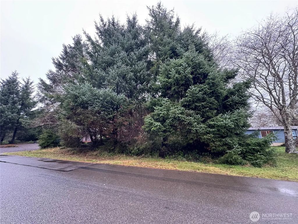 682 Copalis Avenue Ne, Ocean Shores