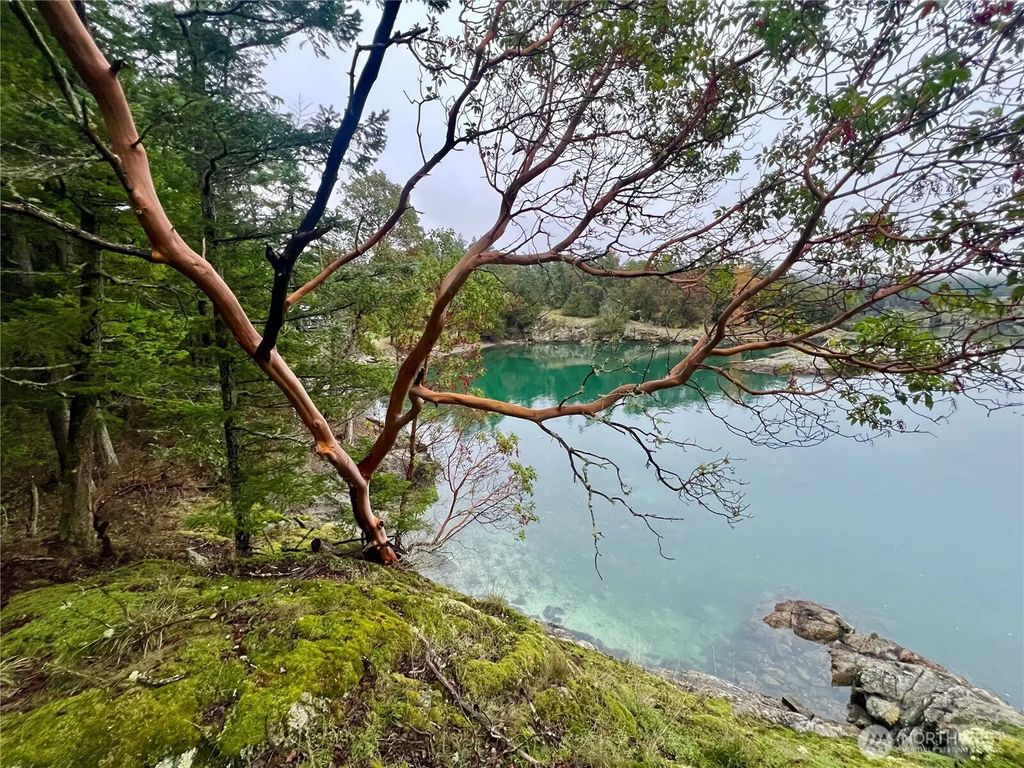 3521 Deer Harbor Road, Orcas Island