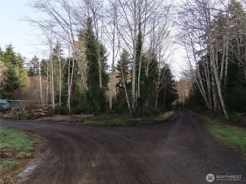Oregon Lane, Ocosta