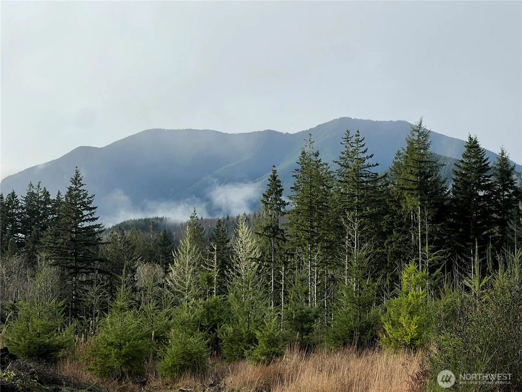 3 Xxx Snow Creek Road, Quilcene