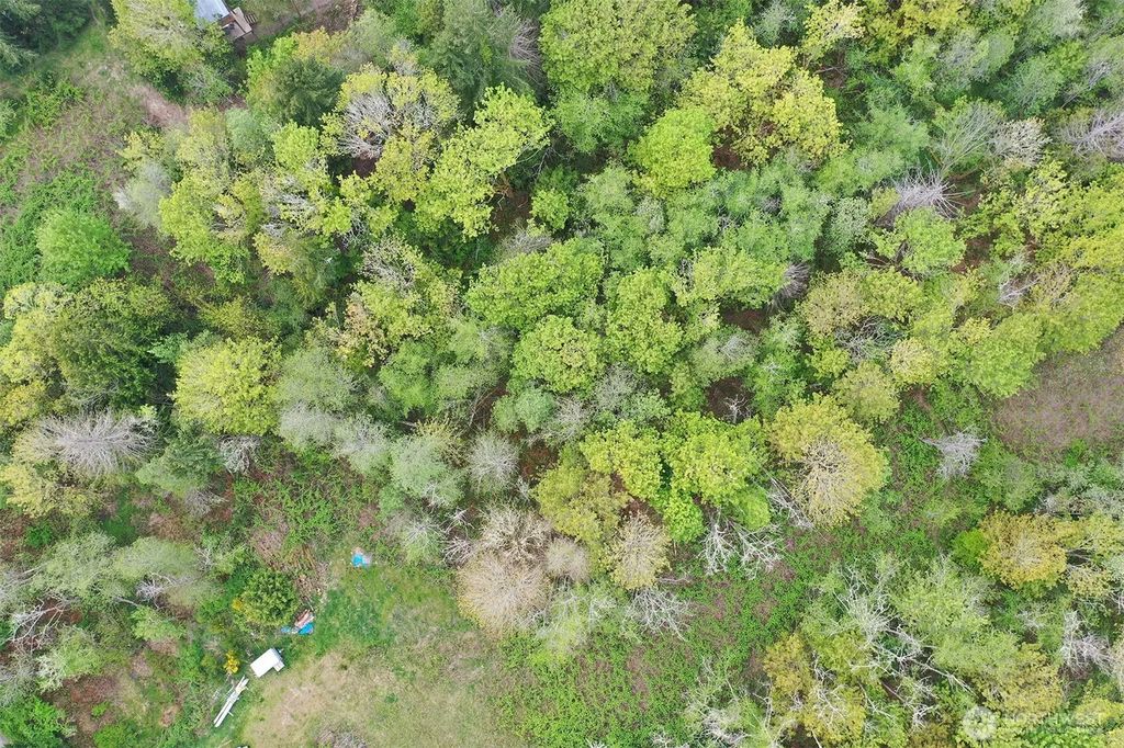 Mardell (lot 10) Court, Bainbridge Island