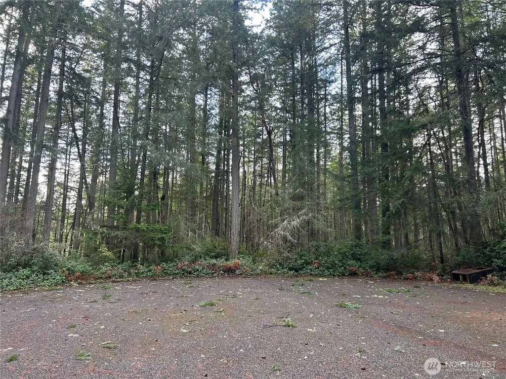 12918 E 101st Street Ct, Anderson Island