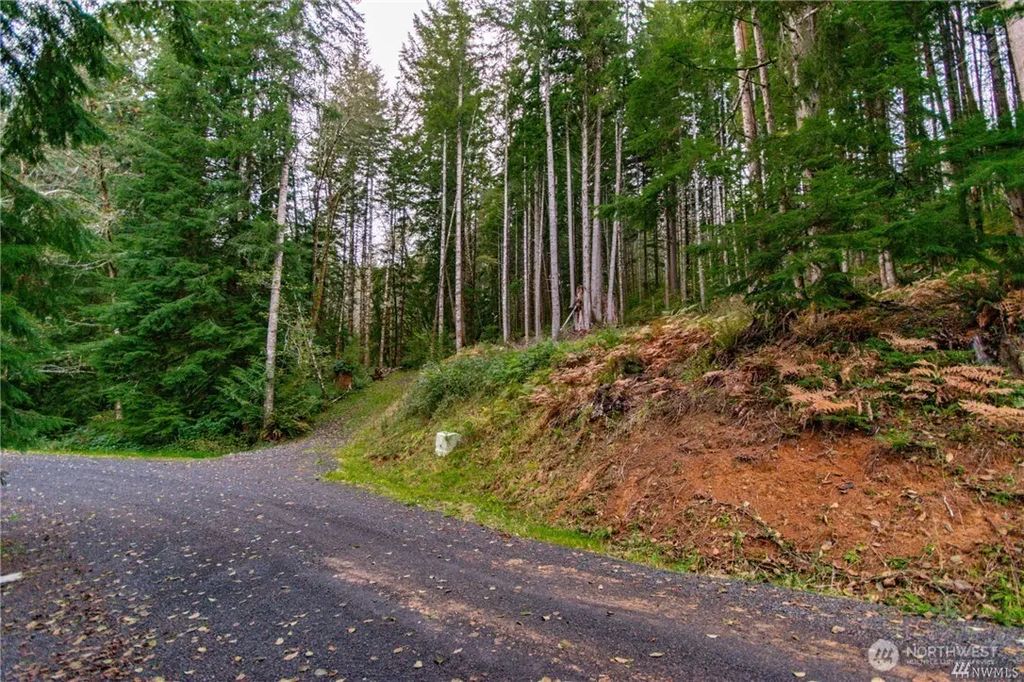 1 Lot Bison Run, Longview