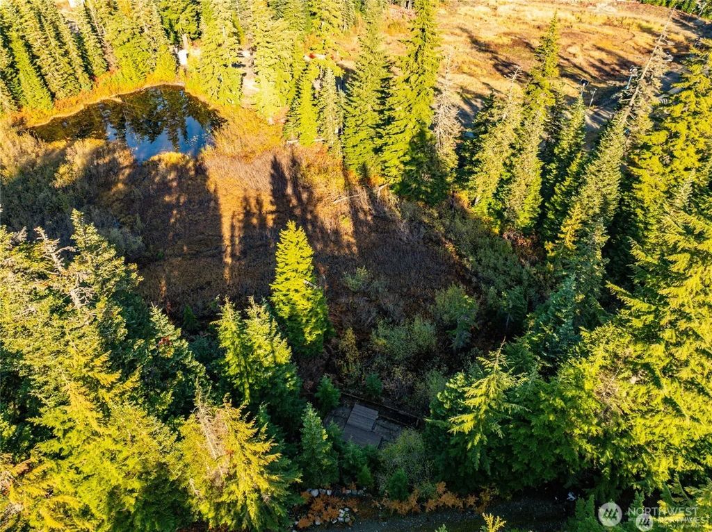 63 Snoqualmie Village Drive, Snoqualmie Pass
