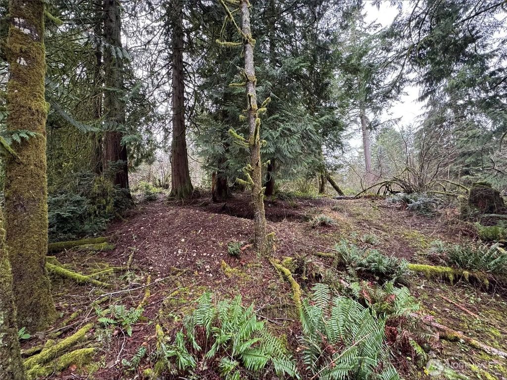 10110 Selma Circle, Anderson Island