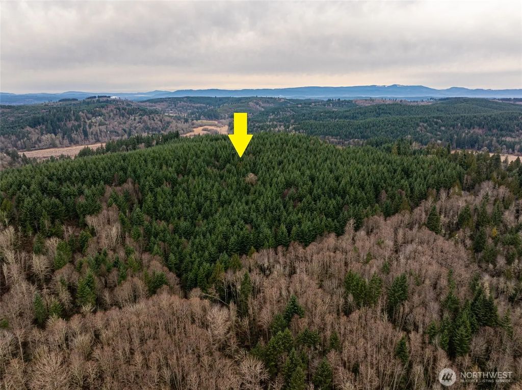216 Xx Zenkner Valley Road Sw, Centralia