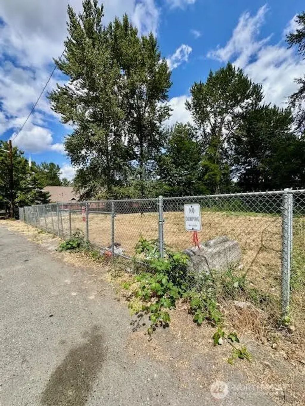 1 St & Myers Way S, Seattle