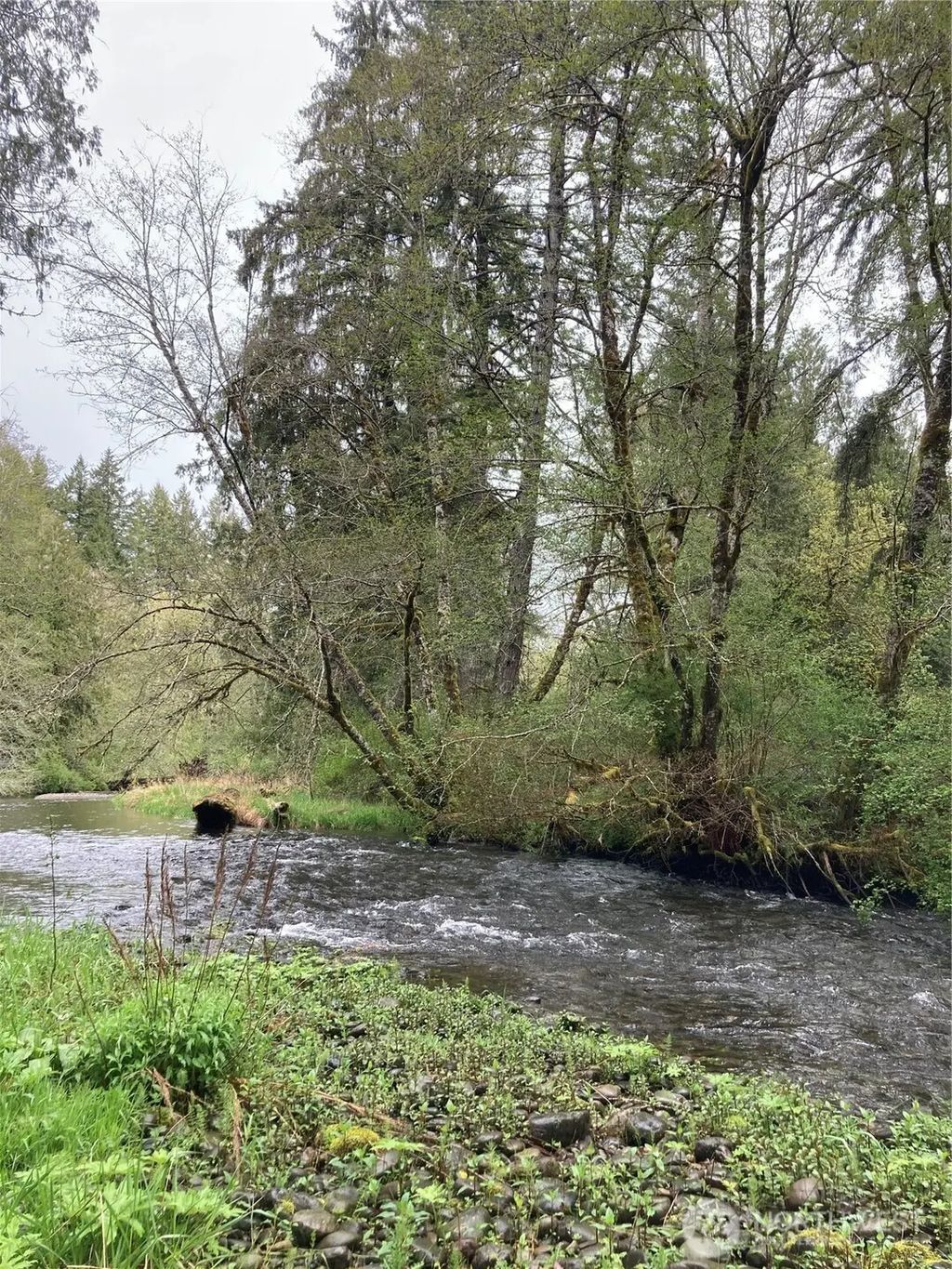 East Of Bingham Creek, Elma