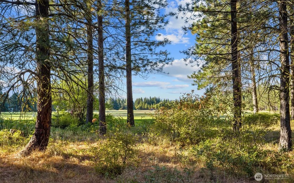 2040 Ruby King Loop, Cle Elum
