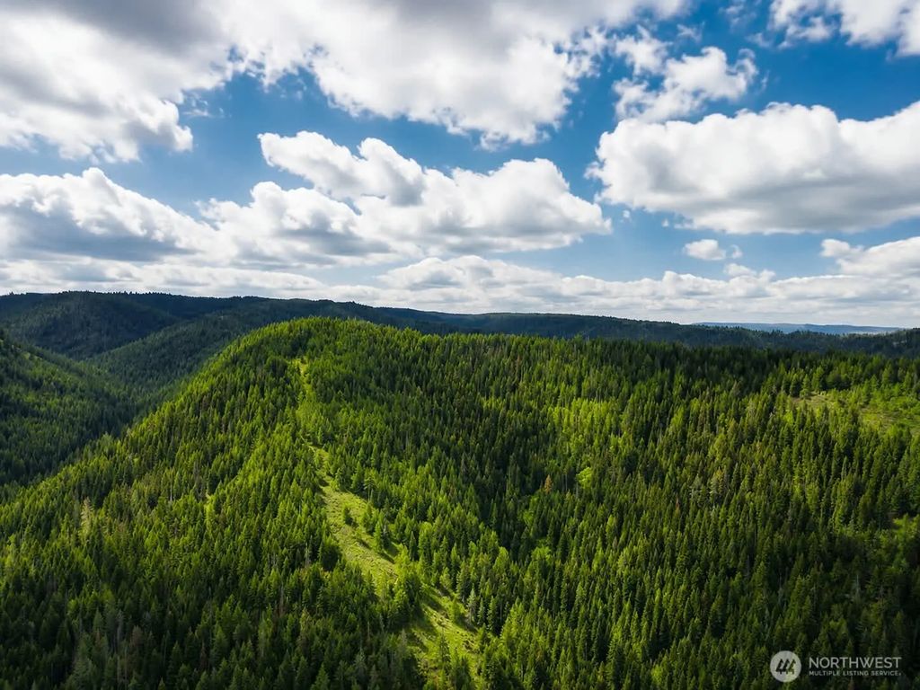 30 Acres Off Biscuit Ridge, Waitsburg