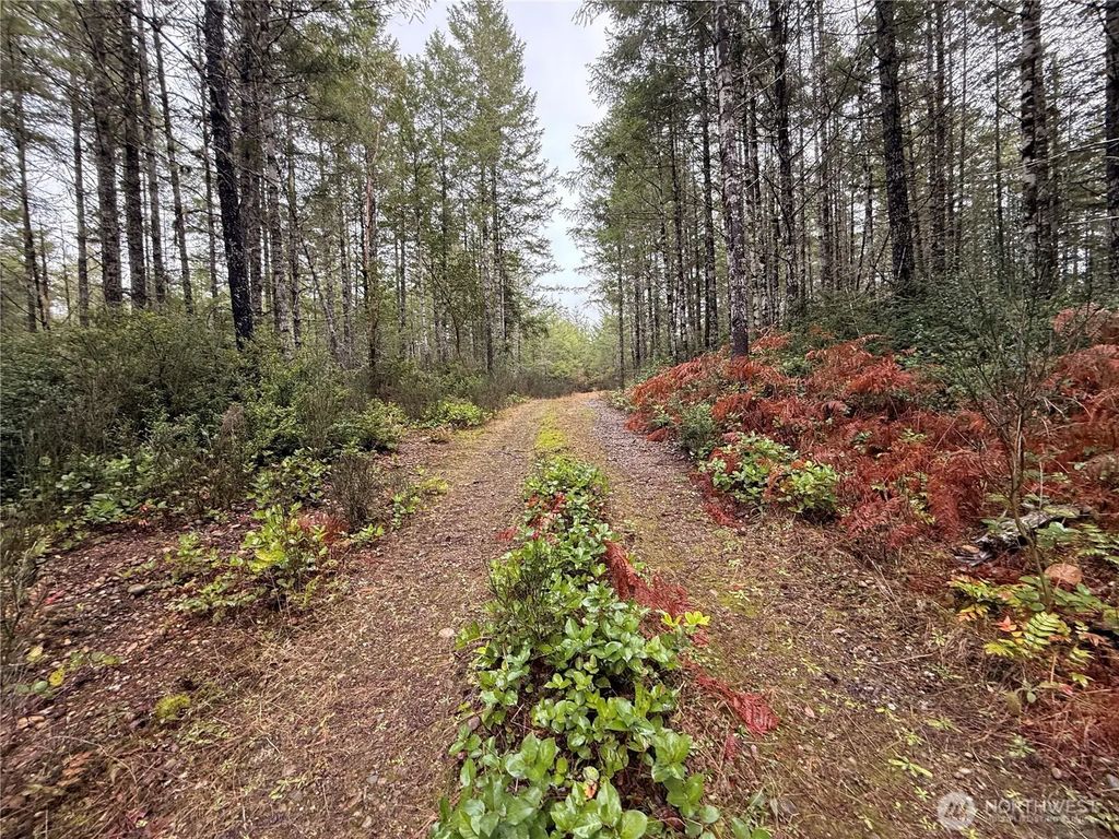 10 Xx E Shetland Road, Shelton