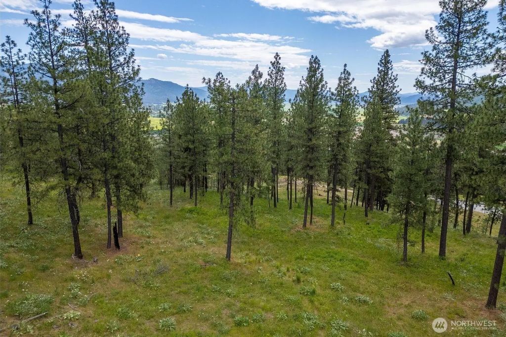 1612 Palmer Loop, Chewelah