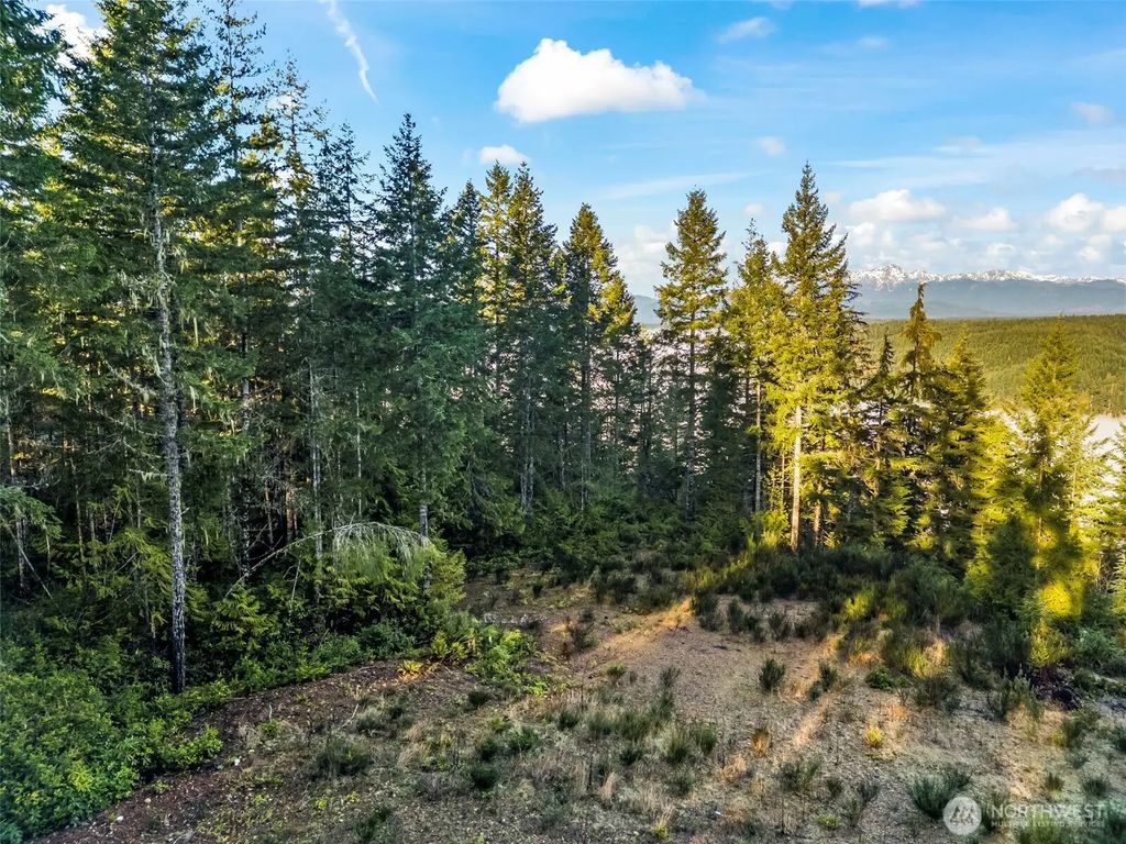 1123 E Timber Tides Drive, Union