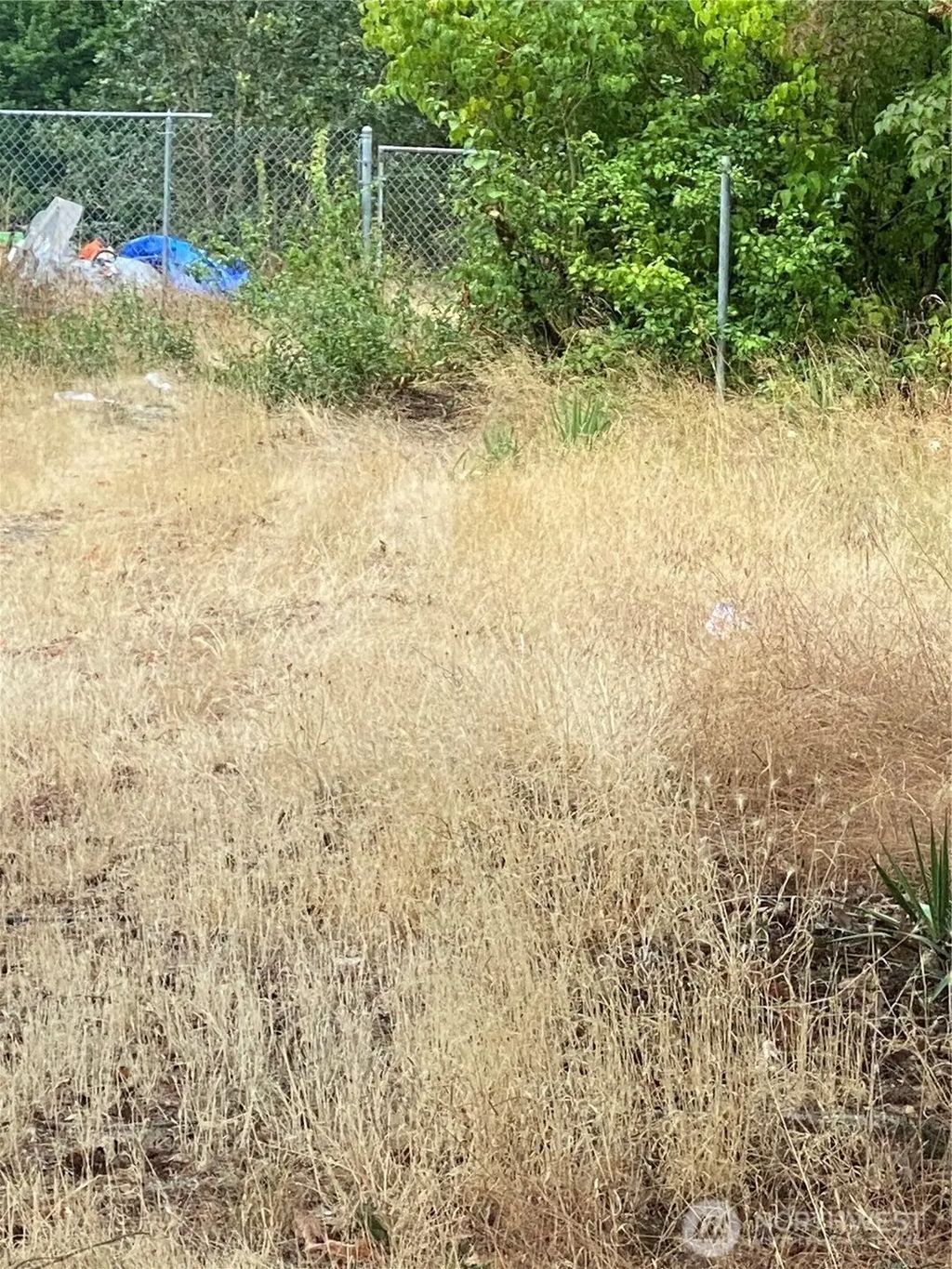 6613 S Wapato Street, Tacoma