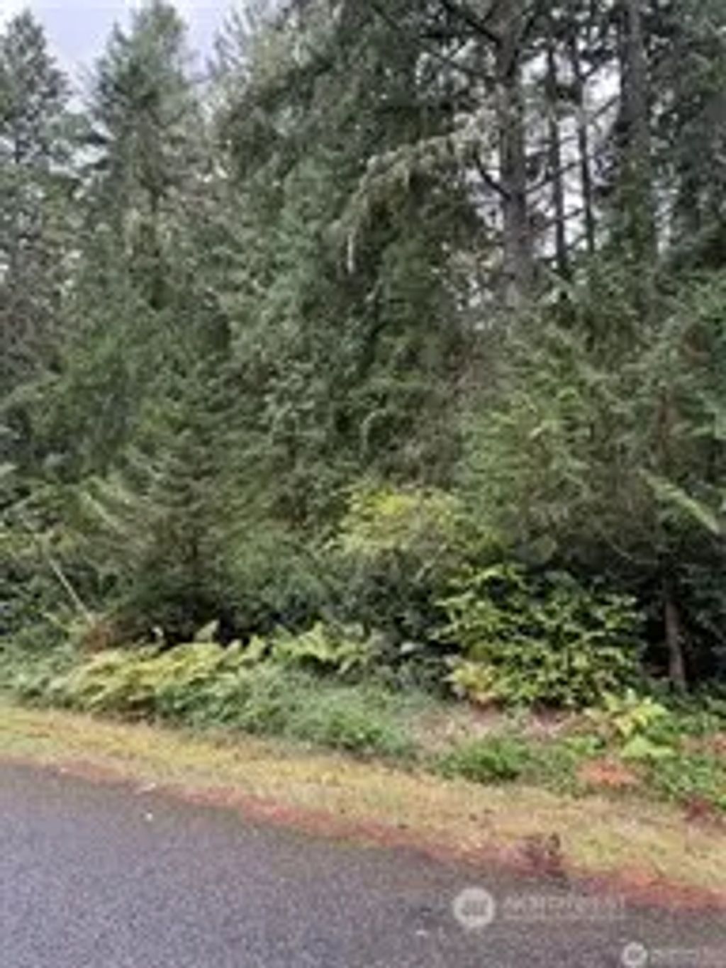 9229 Kootenia Drive, Anderson Island