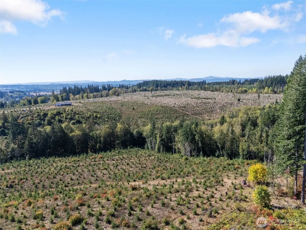 0 Lot 4 Macomber Road W, Chehalis