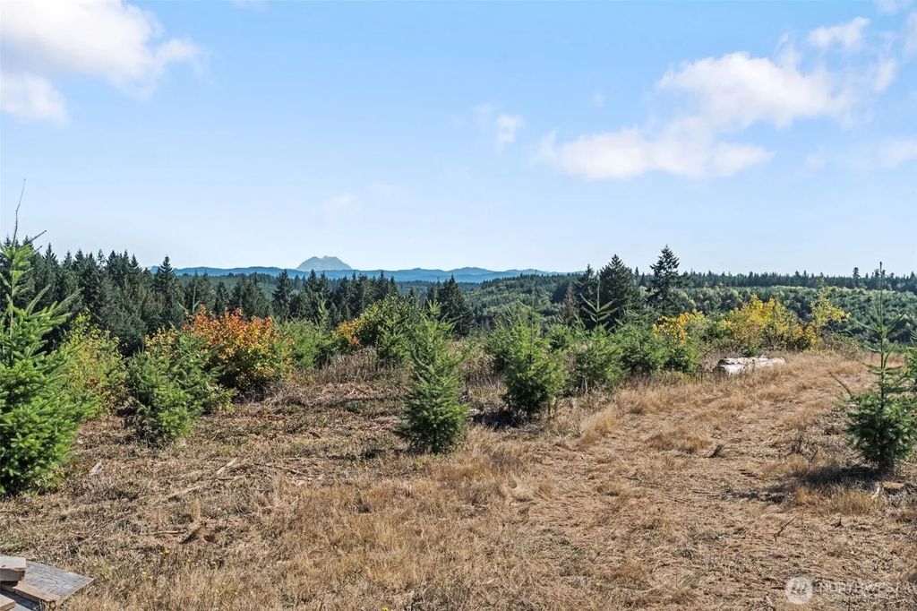 0 Lot 2 Macomber Road W, Chehalis