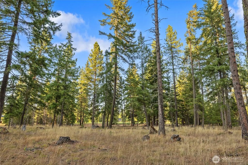 32 Domerie Park Loop, Cle Elum