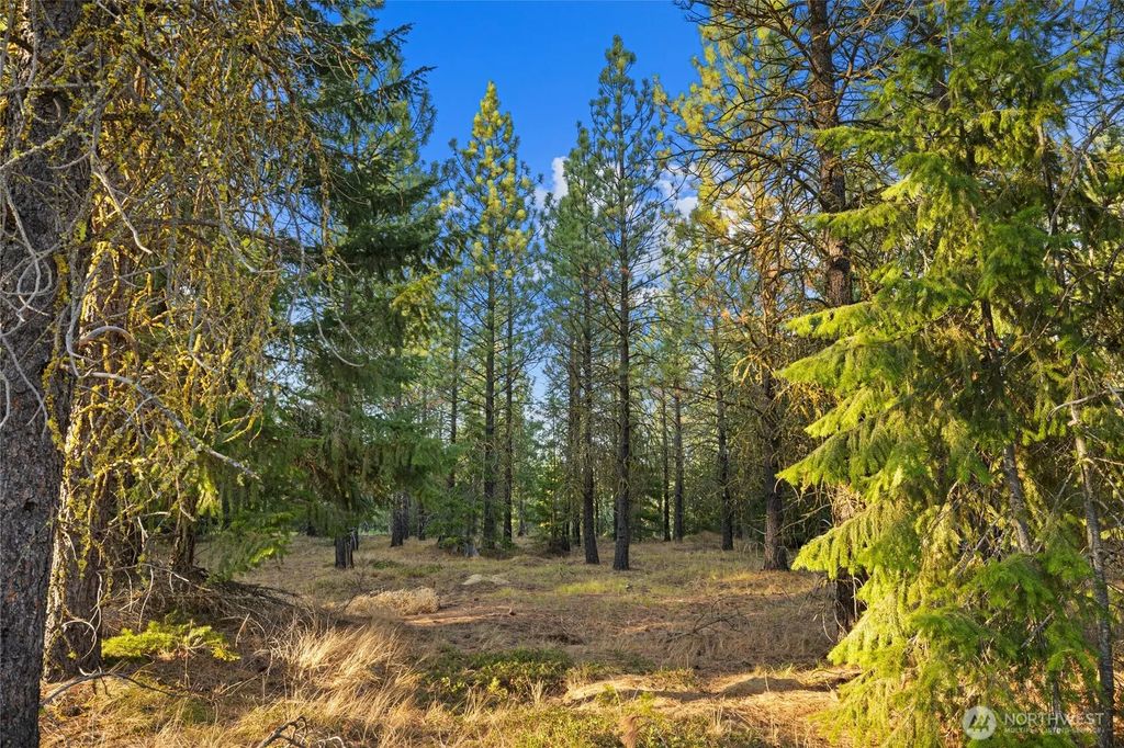 131 Gold Leaf Lane, Cle Elum