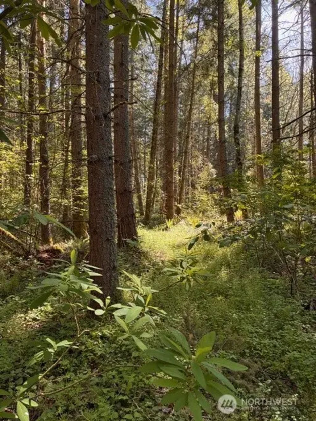 Chuckawa Lane Sw, Yelm