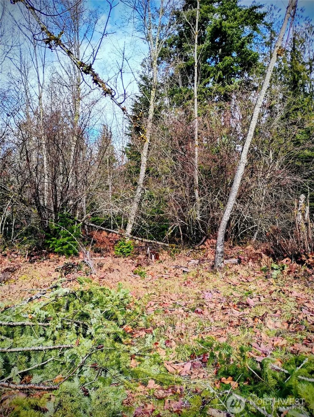 Holiday Lane Lot 19, Packwood