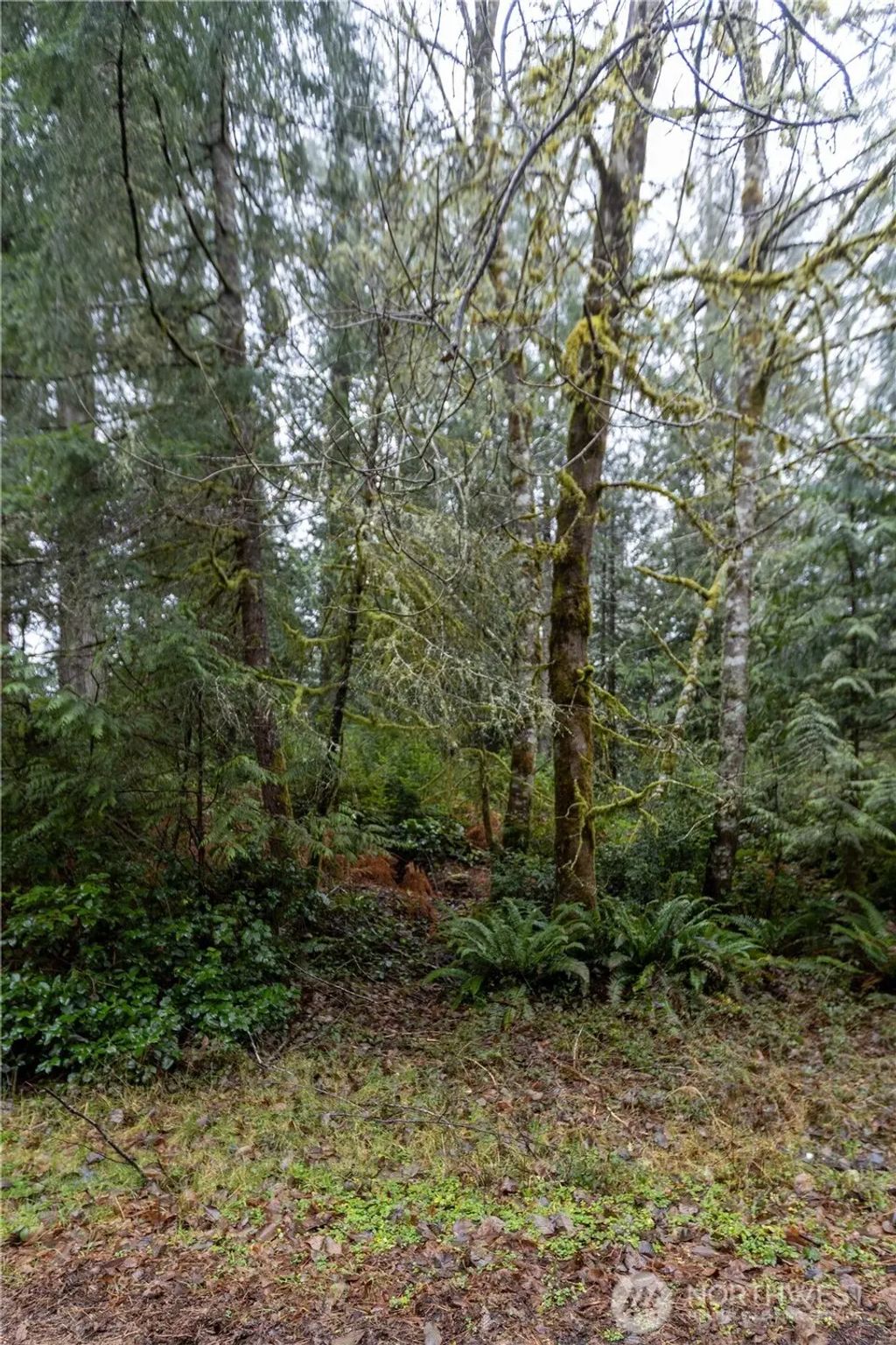 11416 86th Street Ct, Anderson Island
