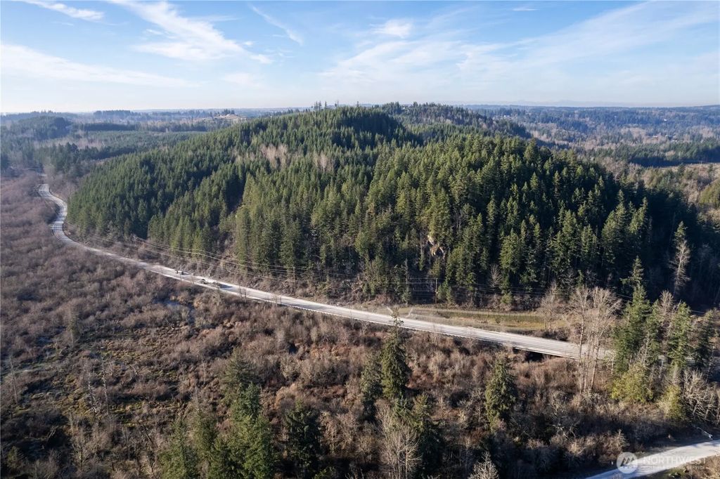 0 290.4-ac Orville Road E, Orting