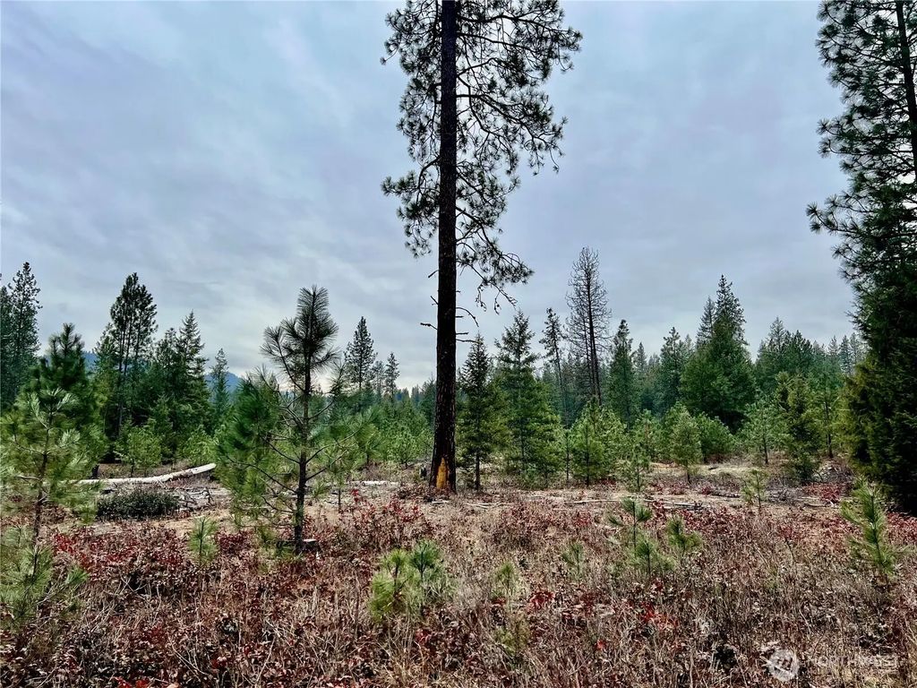 0 40tbd Hwy 25 N, Northport