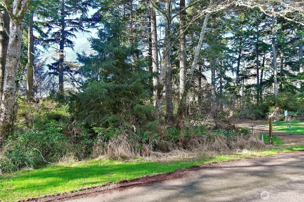 721 Chenois Avenue Ne, Ocean Shores