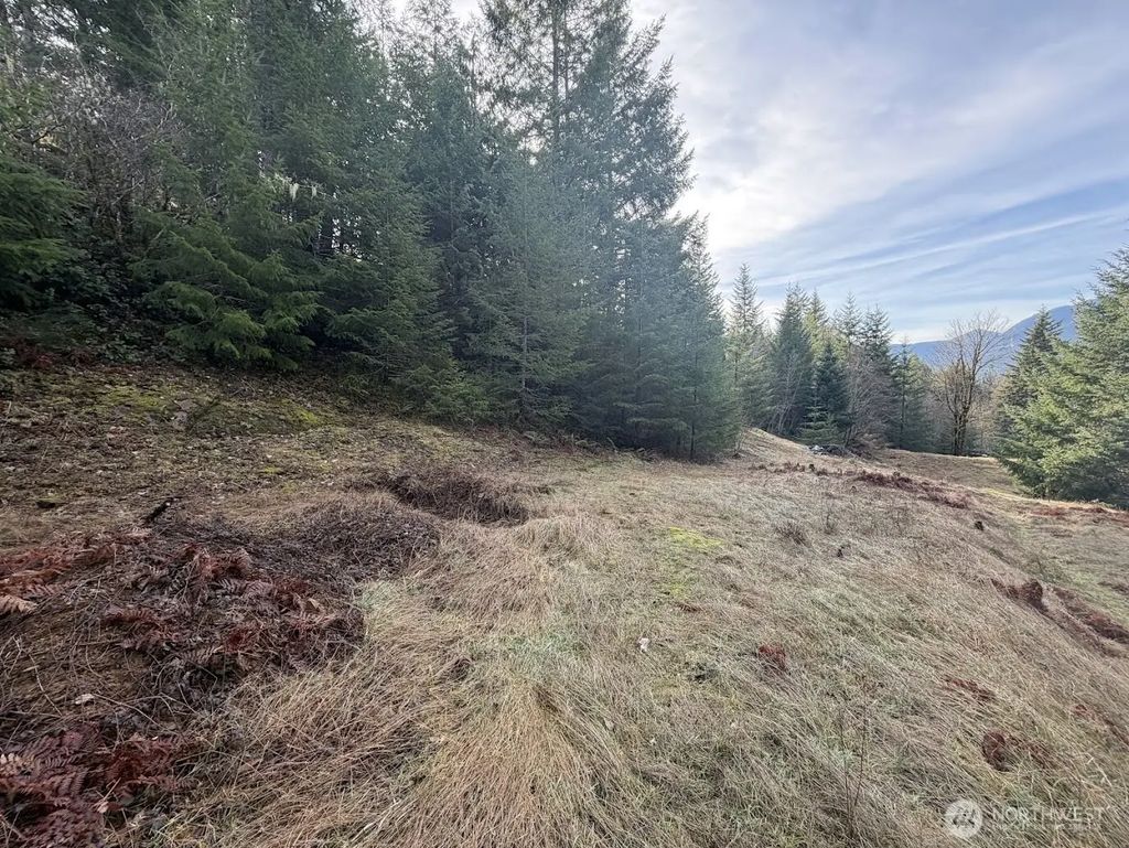 115 Ridge Lane, Packwood