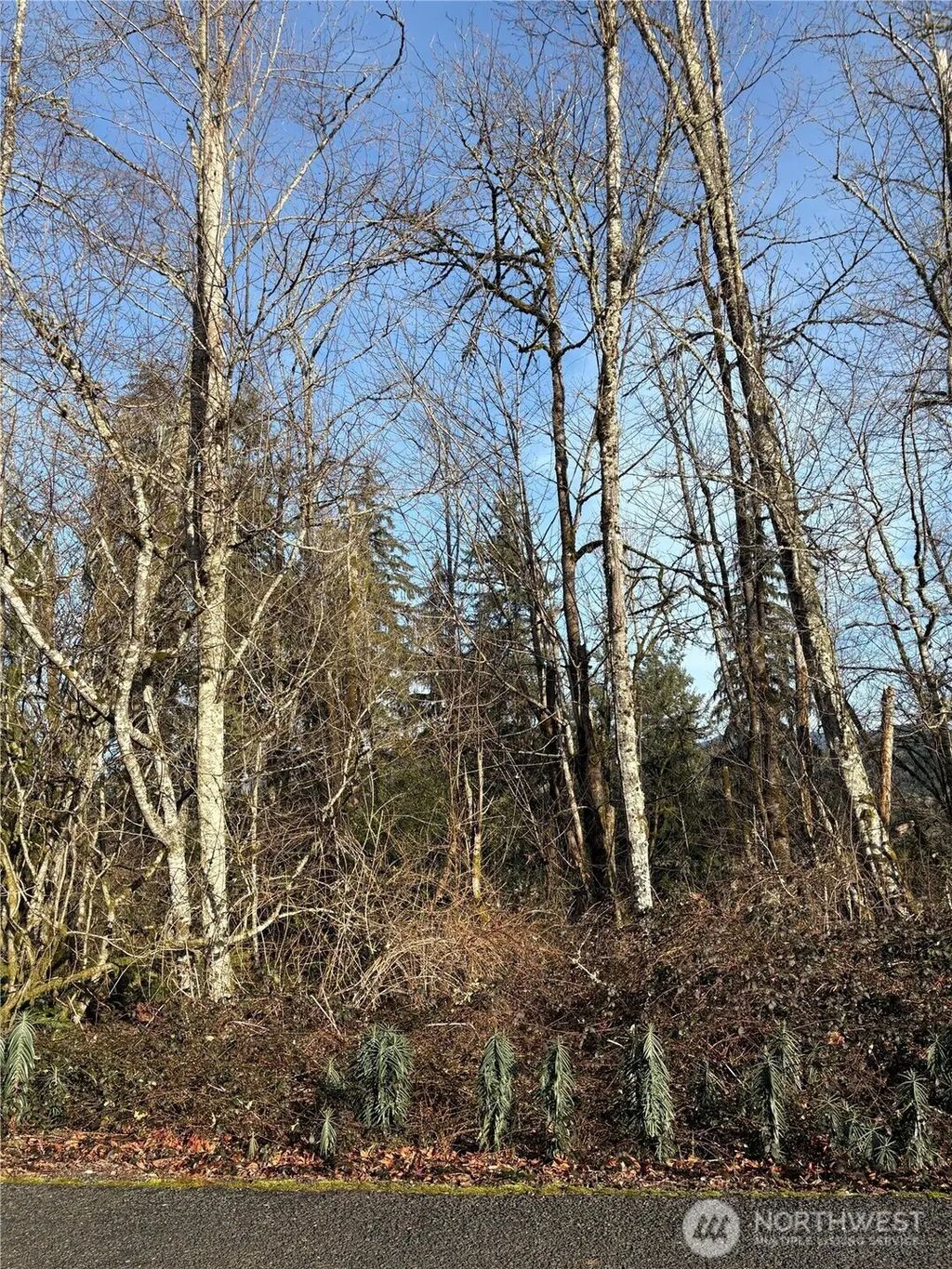 128 Valley View Drive, Mossyrock