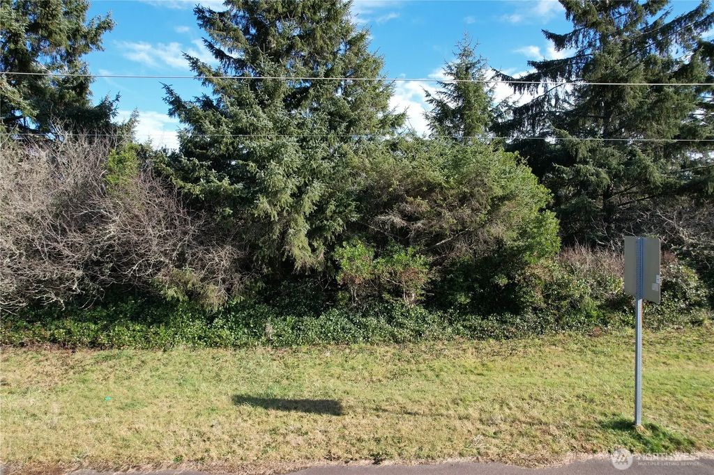 466 Point Brown Avenue Ne, Ocean Shores
