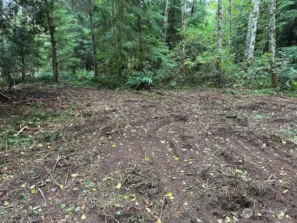 7988 Bethel Burley Road Se, Port Orchard